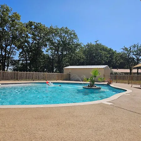 Joli Tiny En Foret Au Village *