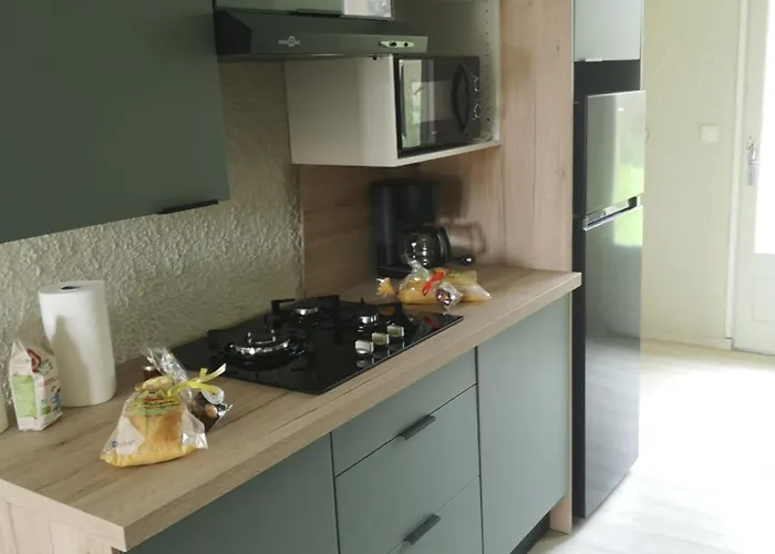 Joli Tiny En Foret Au Village * Mareuil-sur-Lay